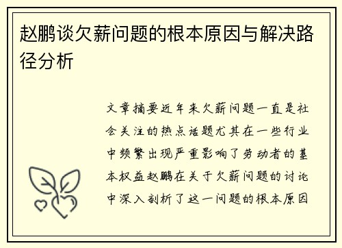 赵鹏谈欠薪问题的根本原因与解决路径分析